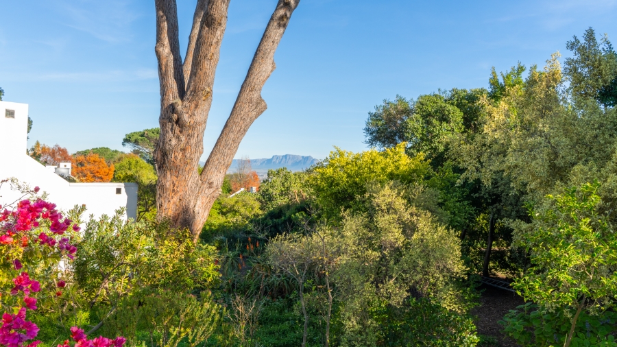3 Bedroom Property for Sale in Zevenwacht Farm Village Western Cape
